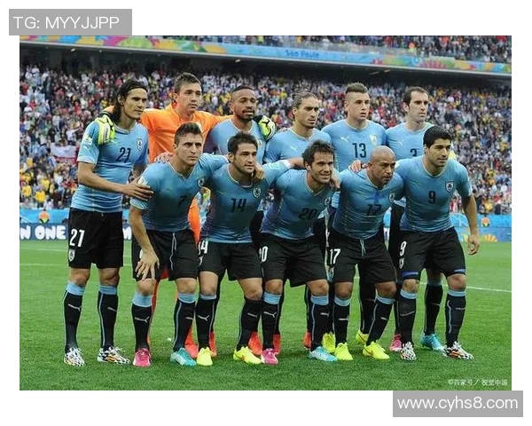 法国现役足球明星的风采与成就解析及未来发展趋势探讨